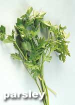 PARSLEY