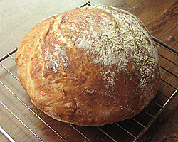 NO KNEAD BREAD