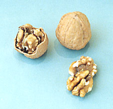 WALNUTS